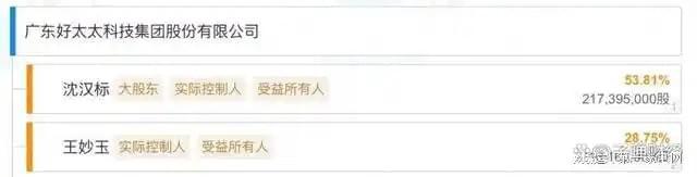 、净利下滑旗下电动晾衣机曾抽查不合格凯发k8网站好太太去年前三季度营收(图7)