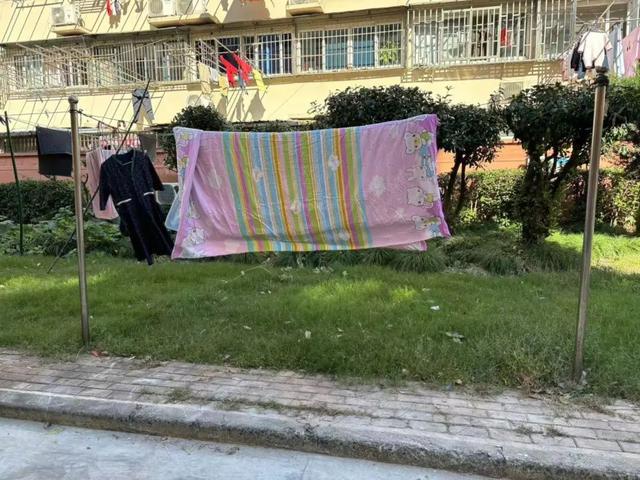 心力提升居民幸福感K8凯发文明凝聚向(图1)