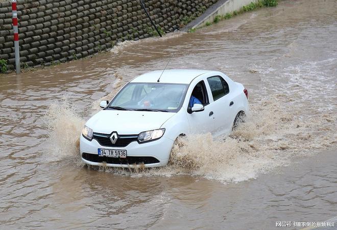 这回知道该买油车还是电车了吧暴雨洪水冲走大量汽车网友：(图3)